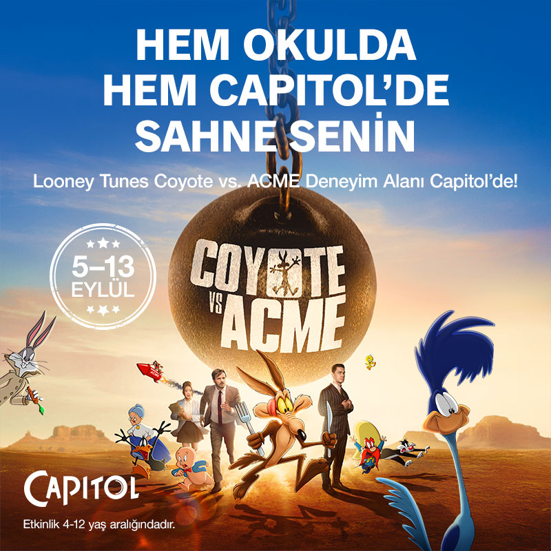 Coyote Acme 800X800
