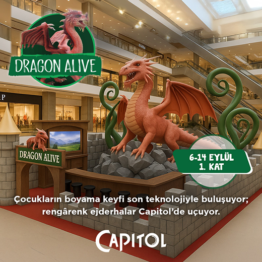 Dragon Alive 800X800